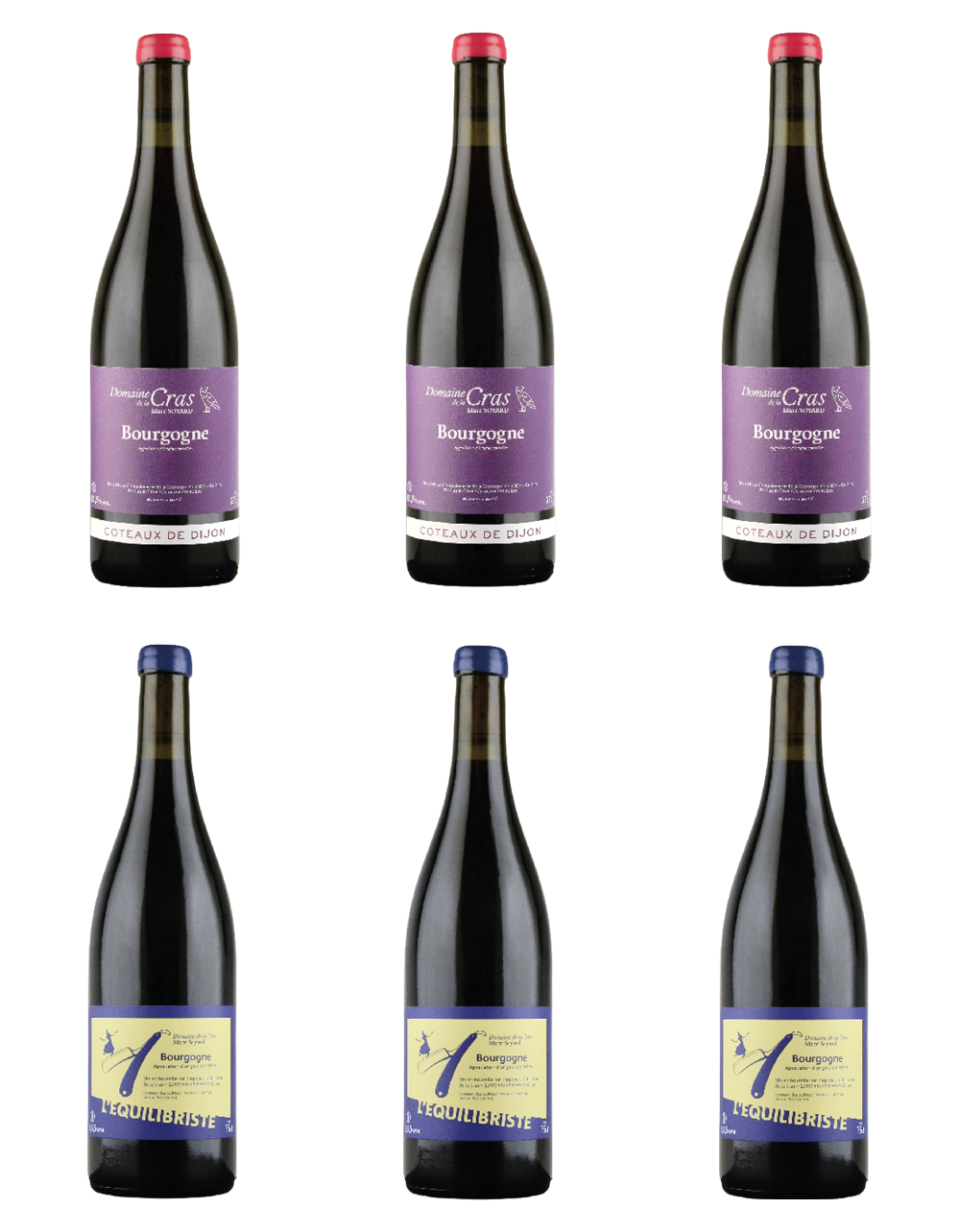Box CRU Bourgogne Rouge Marc Soyard
